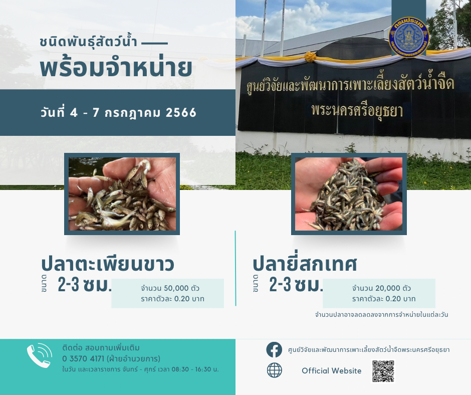 ชนิดพันธุ์สัตว์น้ำพร้อมจำหน่าย (4-7 กรกฎาคม 2566) ศพจ.พระนครศรีอยุธยา