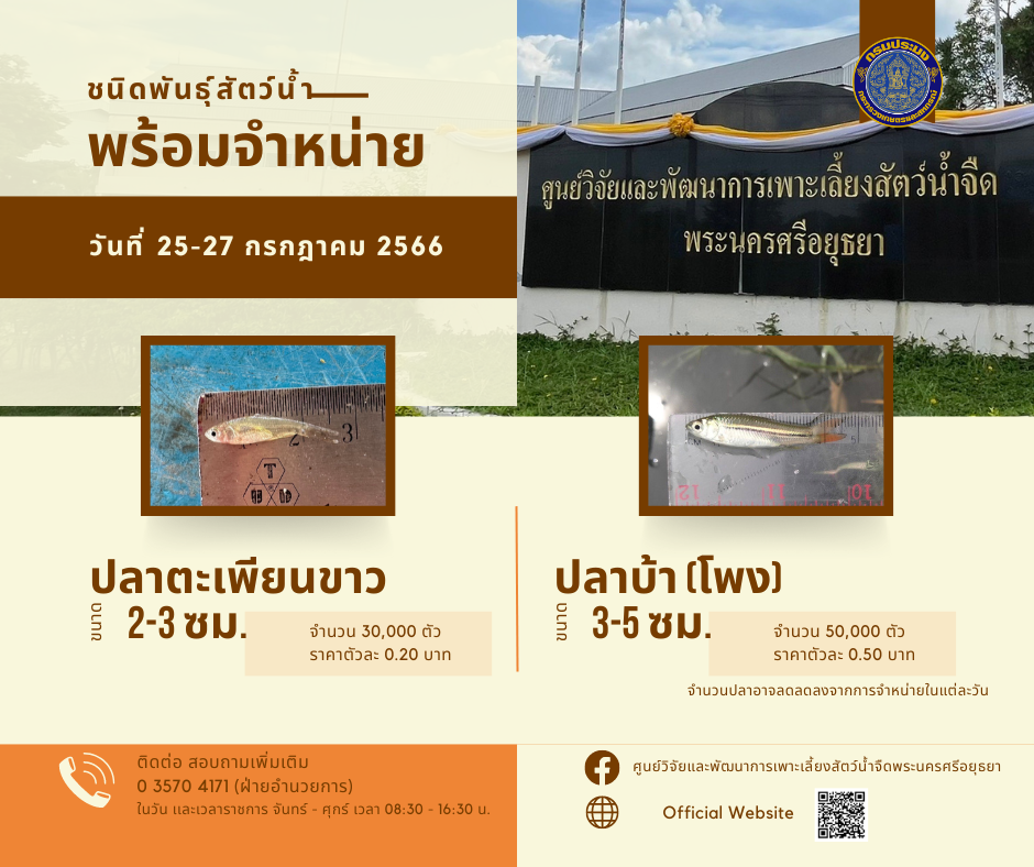ชนิดพันธุ์สัตว์น้ำพร้อมจำหน่าย (25-27 กรกฎาคม 2566) ศพจ.พระนครศรีอยุธยา