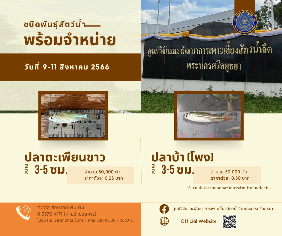 ชนิดพันธุ์สัตว์น้ำพร้อมจำหน่าย (9-11 สิงหาคม 2566) ศพจ.พระนครศรีอยุธยา