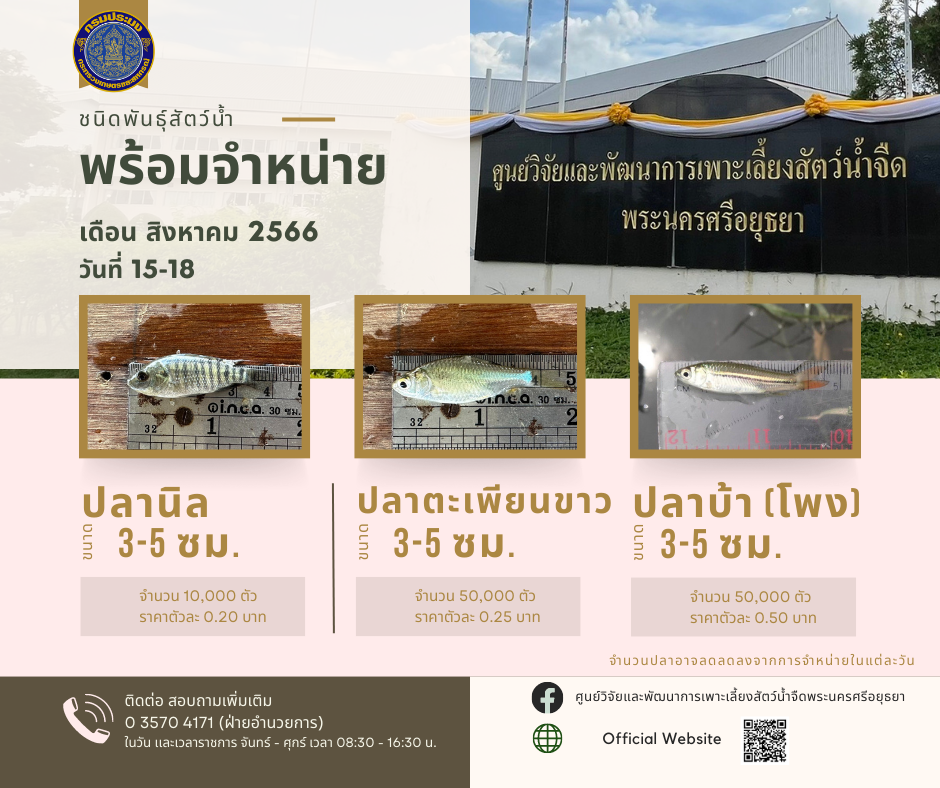 ชนิดพันธุ์สัตว์น้ำพร้อมจำหน่าย (15-18 สิงหาคม 2566) ศพจ.พระนครศรีอยุธยา