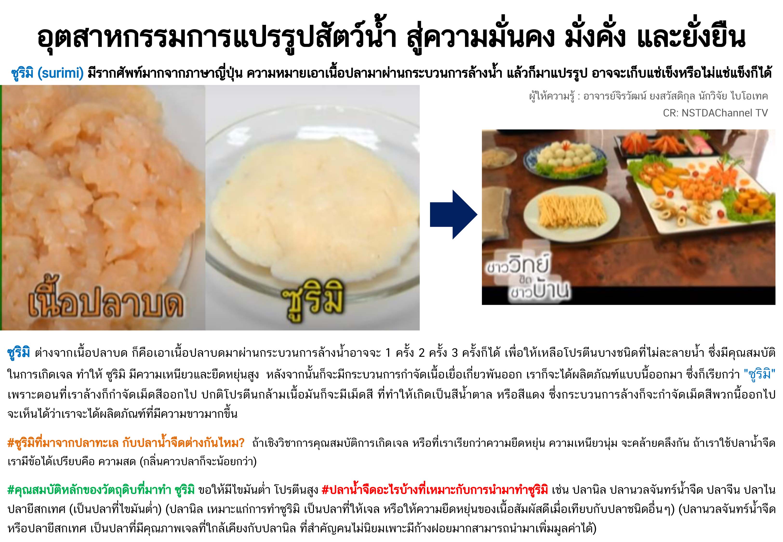 ชาววิทย์ชิดชาวบ้าน ตอน ซูริมิ เนื้อปลาบดล้างน้ำจากปลาน้ำจืด