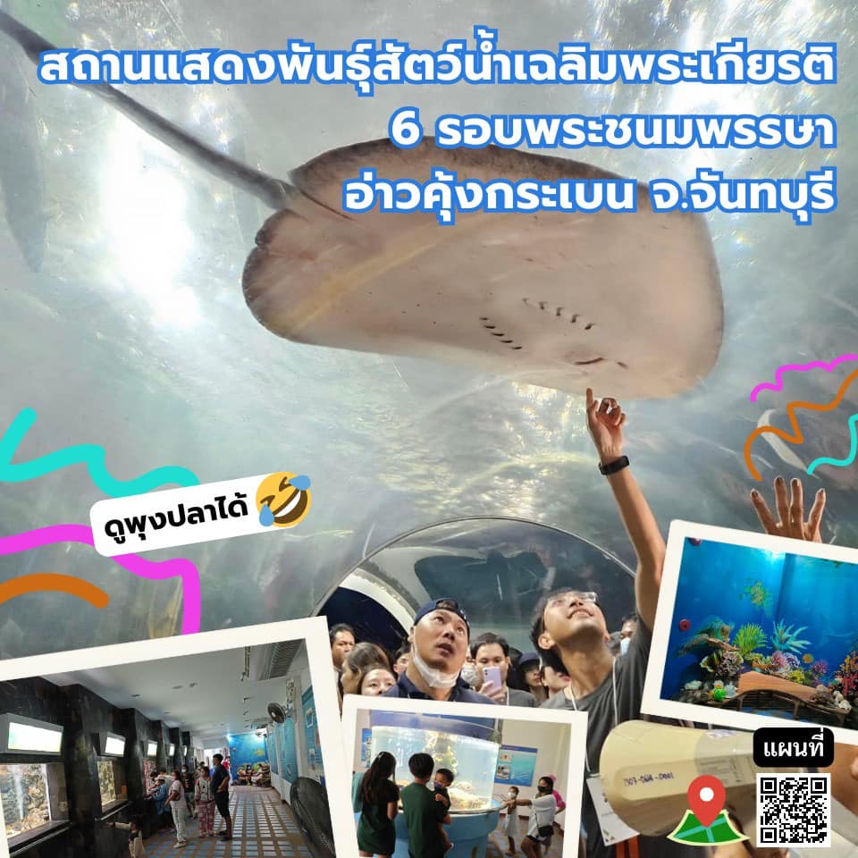 กรมประมงชวนเที่ยว 10 Aquariums ในไทย ผจญภัยไปกับโลกใต้น้ำ