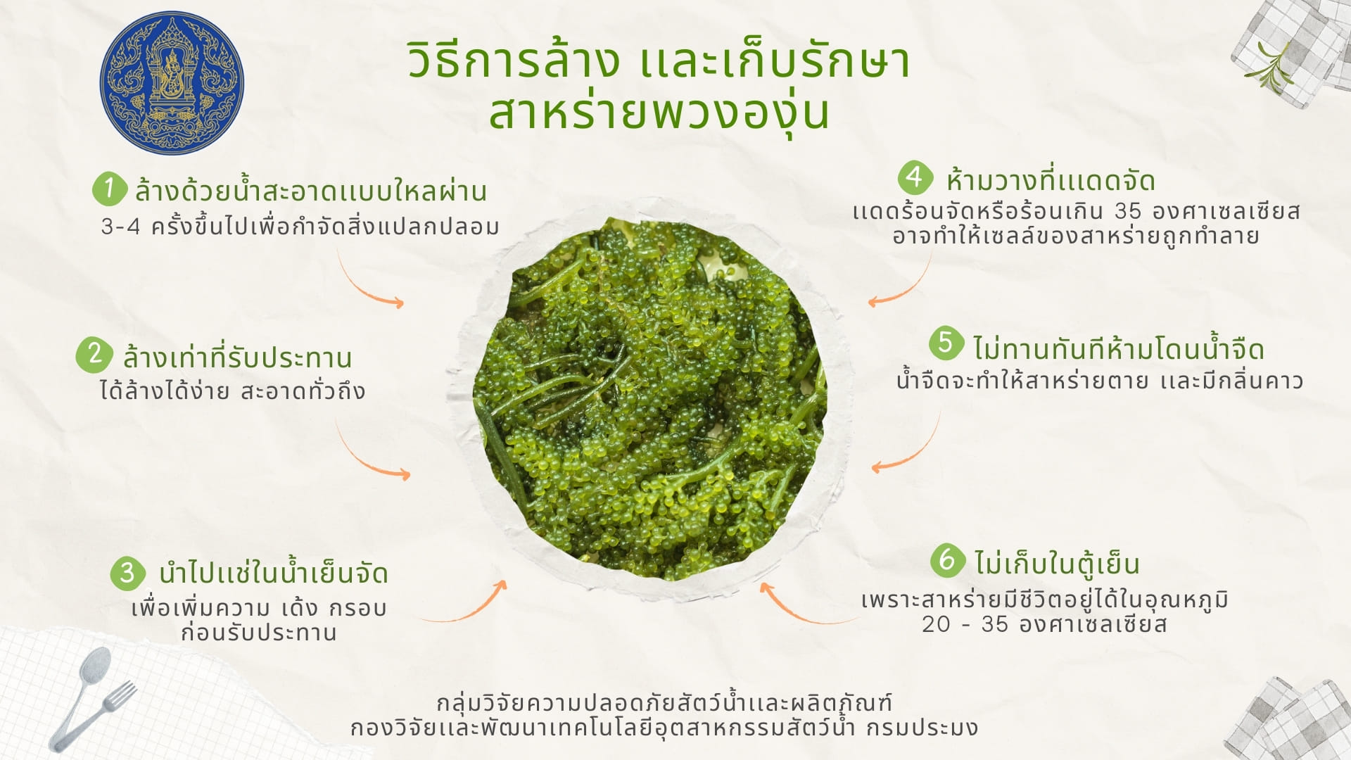 สาหร่ายพวงองุ่น (Sea Grapes) ลูกกลม ๆ เขียว ๆ เม็ดเล็กที่หน้าตาคล้ายพวงองุ่น อาหารเพื่อสุขภาพแคลลอรี่ต่ำ