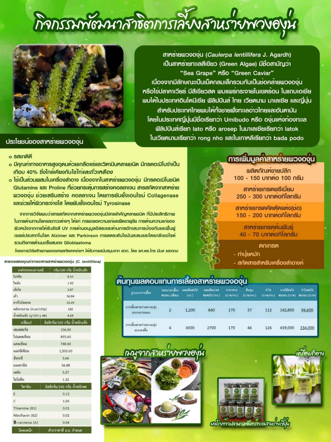 สื่อการเรียนรู้...สาธิตการเลี้ยงสาหร่ายพวงองุ่น