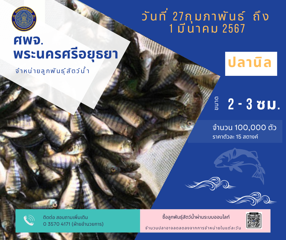 ชนิดพันธ์ุสัตว์น้ำพร้อมจำหน่าย 27กุมภาพันธ์ - 1 มีนาคม 2567 ศพจ.พระนครศรีอยุธยา