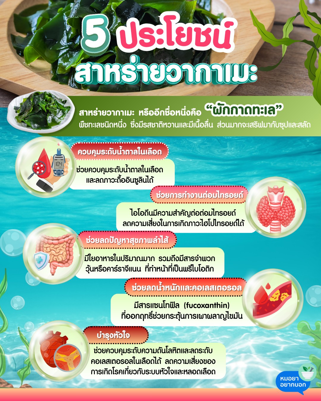 5 ประโยชน์ สาหร่ายวากาเมะ