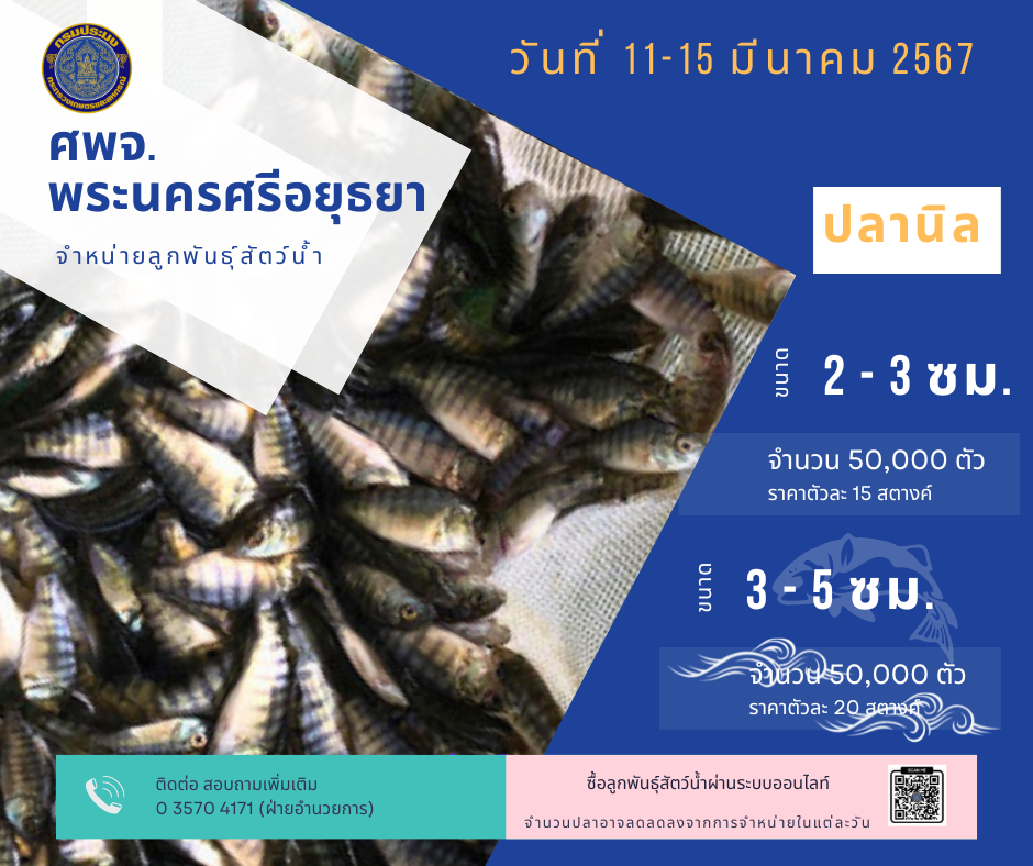 ชนิดพันธ์ุสัตว์น้ำพร้อมจำหน่าย  11-15 มีนาคม 2567 ศพจ.พระนครศรีอยุธยา