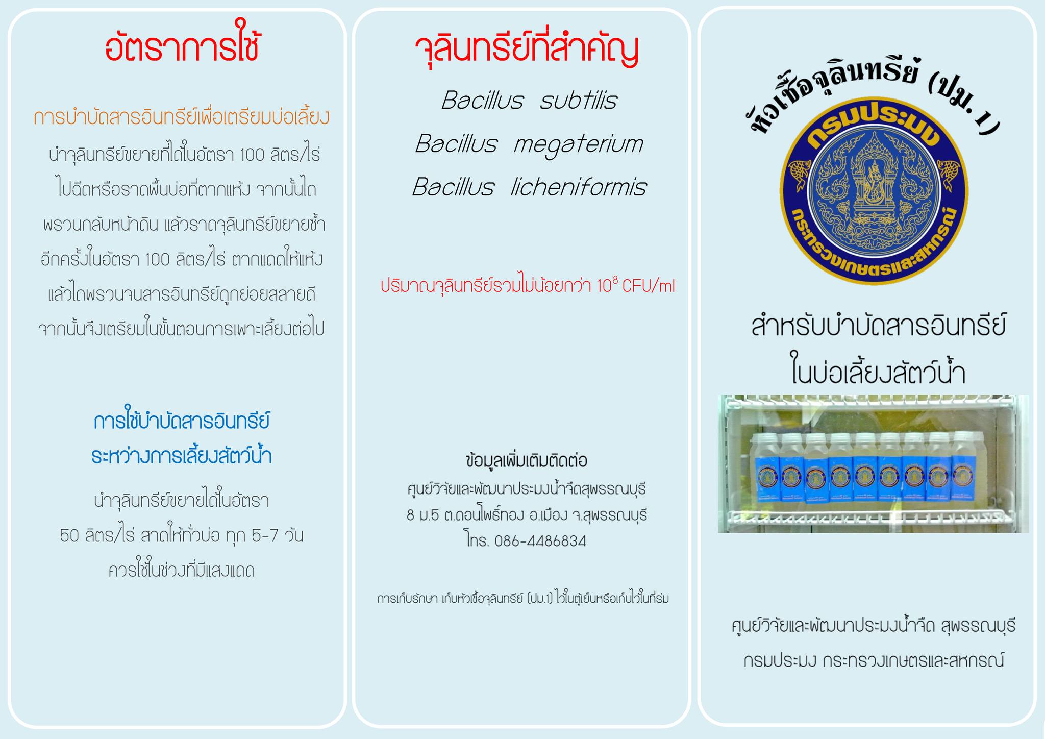 Infographic การปั้นก้อนจุลินทรีย์ ปม.1 by กองวิจัยและพัฒนาการเพาะเลี้ยงสัตว์น้ำขายฝั่ง กรมประมง
