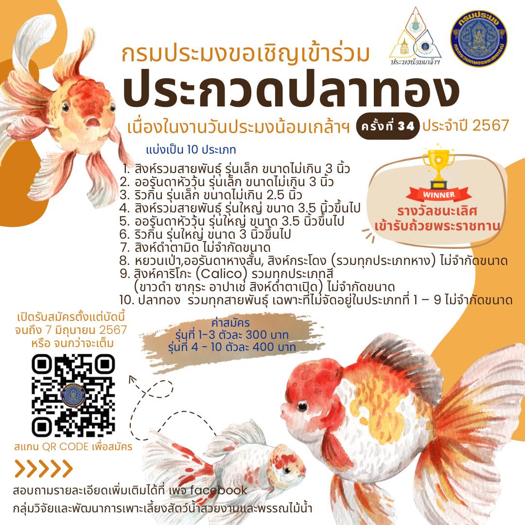 ร่วมด้วยช่วยประชาสัมพันธ์ : กิจกรรมภายใต้งาน งานวันประมงน้อมเกล้าฯ ครั้งที่ 34 ประจำปี 2567...ประกวดปลาทอง