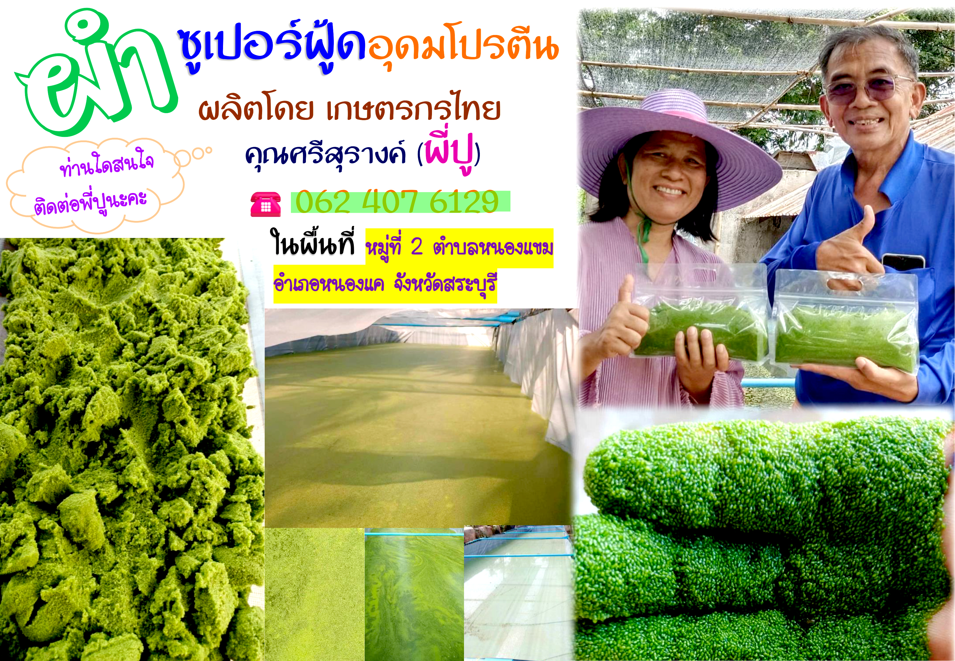 หากกำลังมองหา ผำ ในพื้นที่จังหวัดสระบุรี เรามีจำหน่ายแล้วนะคะ....เราก็พร้อมยินดีเป็นส่วนหนึ่งในการช่วยเหลือเชื่อมโยงเครือการตลาดให้เกษตรกร