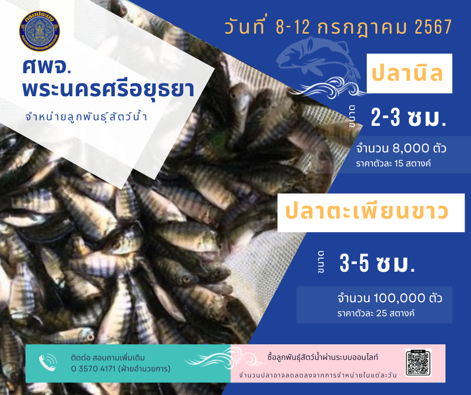 ชนิดพันธ์ุสัตว์น้ำพร้อมจำหน่าย  8-12 กรกฏาคม 2567 ศพจ.พระนครศรีอยุธยา
