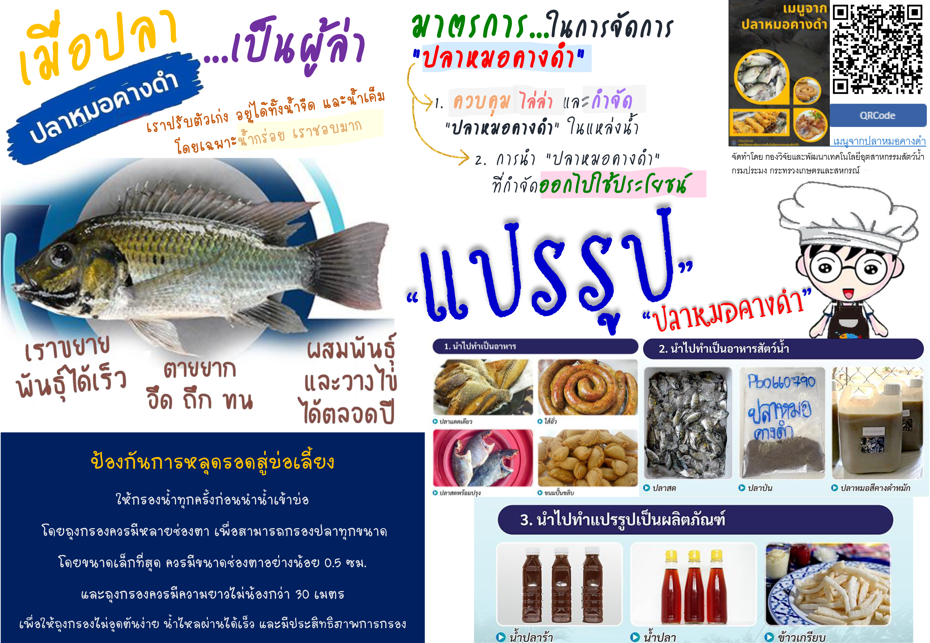 เมื่อปลา...ปลาหมอคางดำ...เป็นผู้ล่า  มาตรการการป้องกัน และการจัดการ ปลาหมอสีคางดำ