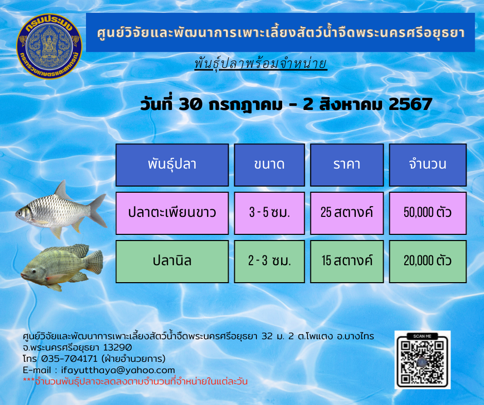 ชนิดพันธ์ุสัตว์น้ำพร้อมจำหน่าย  30 กรกฏาคม - 2 สิงหาคม 2567 ศพจ.พระนครศรีอยุธยา