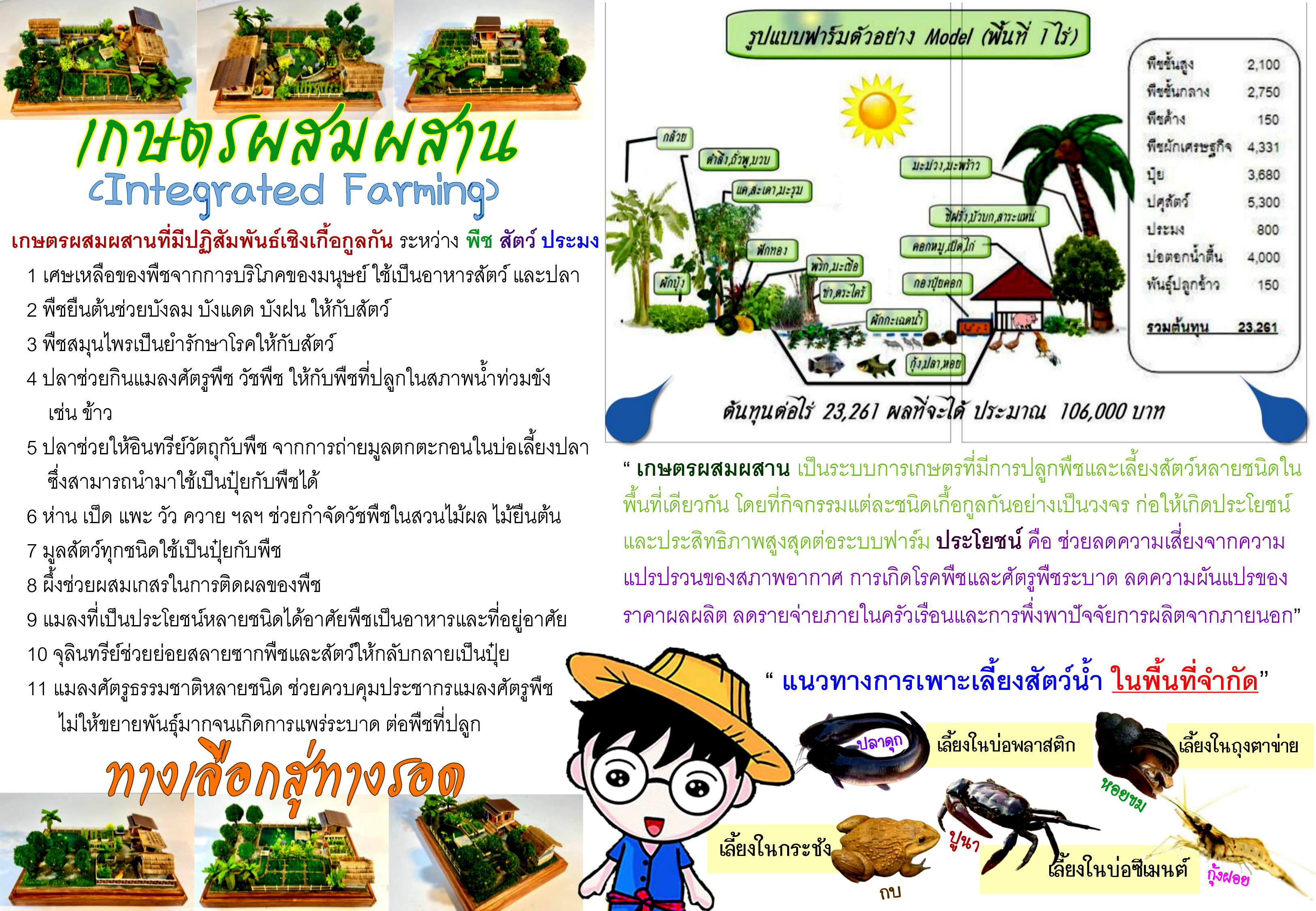 เกษตรผสมผสาน (Integrated Farming) ทางเลือกสู่ทางรอด 