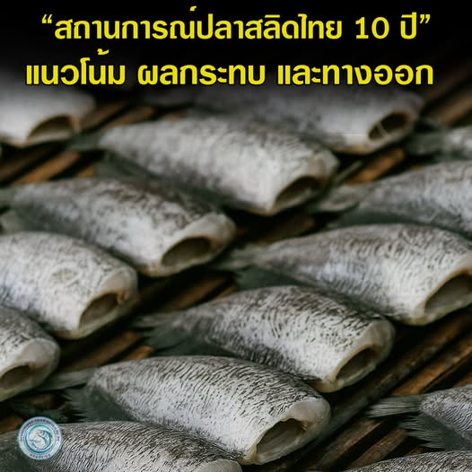 สถานการณ์ปลาสลิดไทย 10 ปี: แนวโน้ม ผลกระทบ และทางออก 