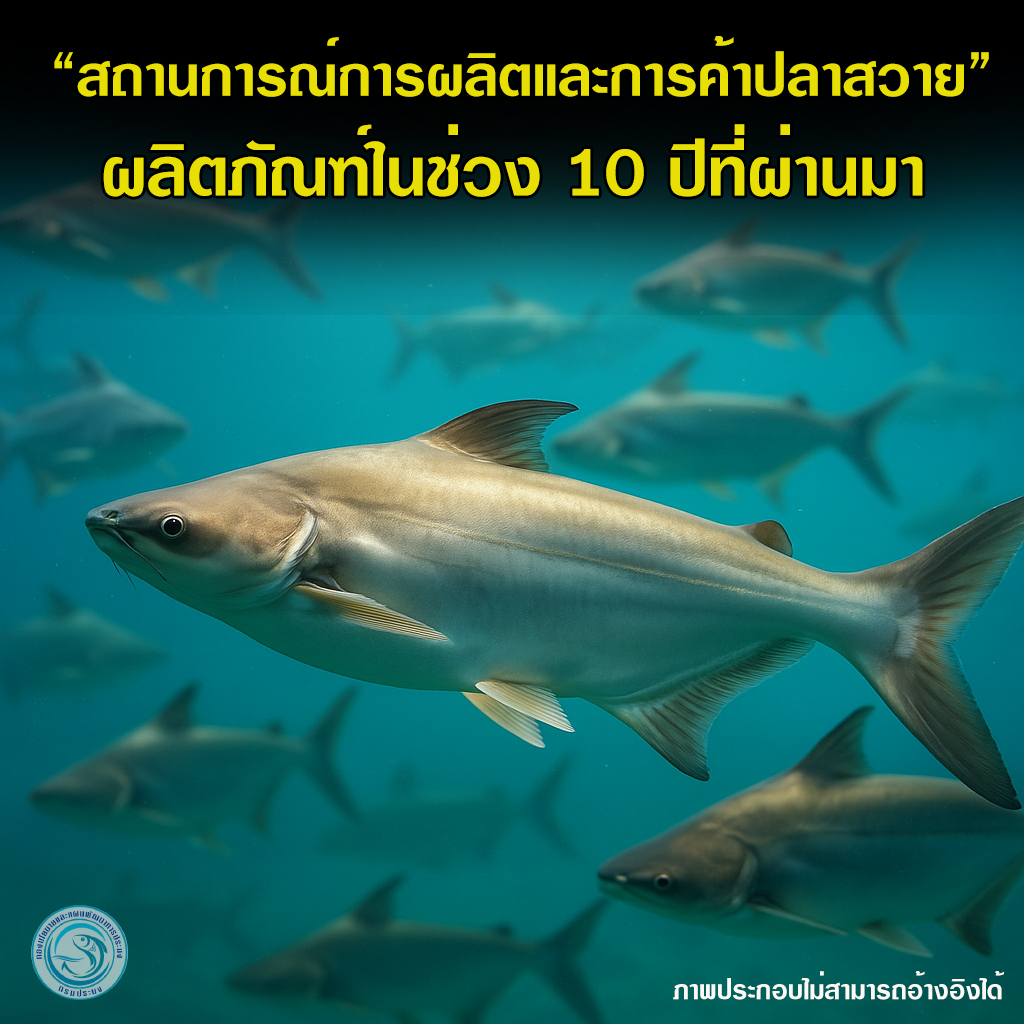สถานการณ์การผลิตและการค้าปลาสวาย