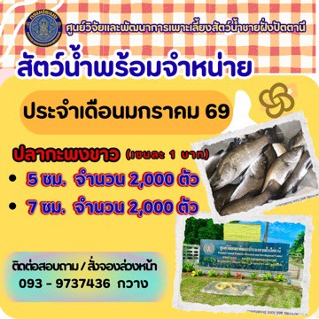 ประกาศจำหน่ายพันธุ์สัตว์น้ำประจำเดือน มกราคม 2569