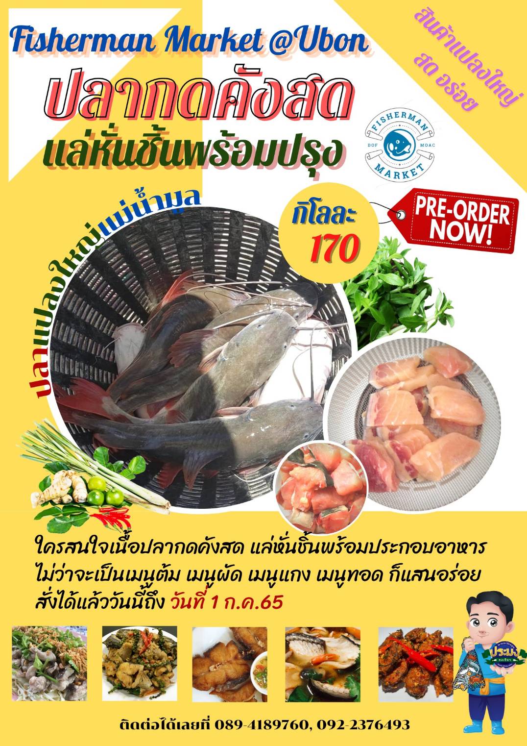 จำหน่ายปลากดคัง จังหวัดอุบลราชธานี..อ่านต่อ