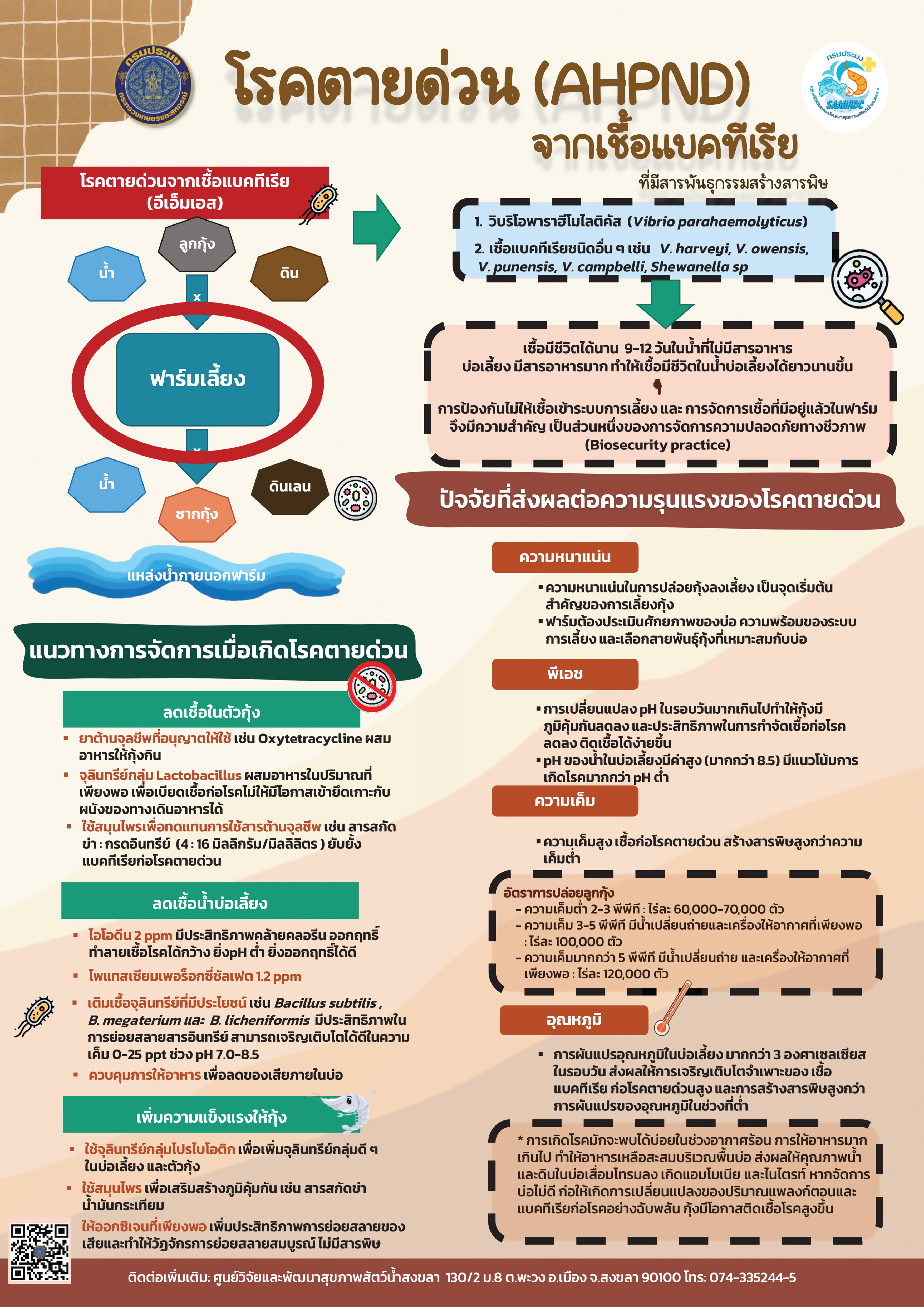 โรคตายด่วน (AHPND) จากเชื้อแบคทีเรีย