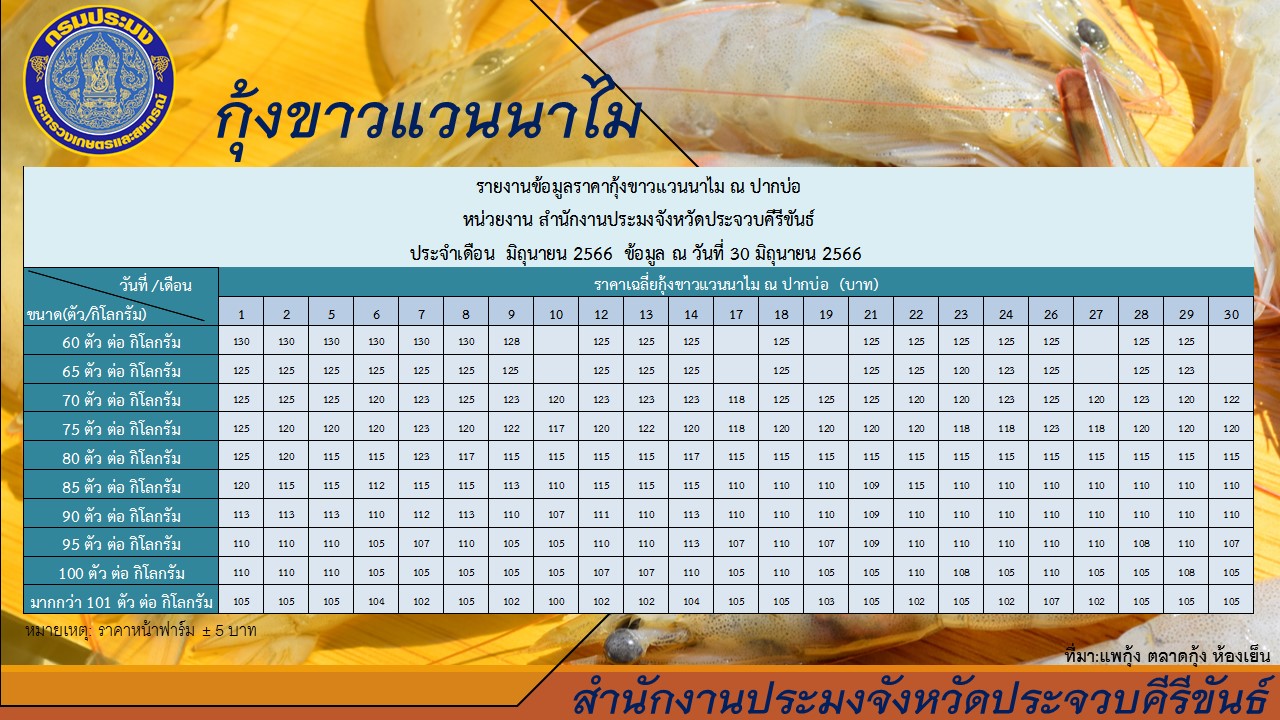 ราคากุ้งขาว ปากบ่อ สนง.ปจ.ปข. ณ วันที่ 30 มิถุนายน 2566 ..อ่านต่อ