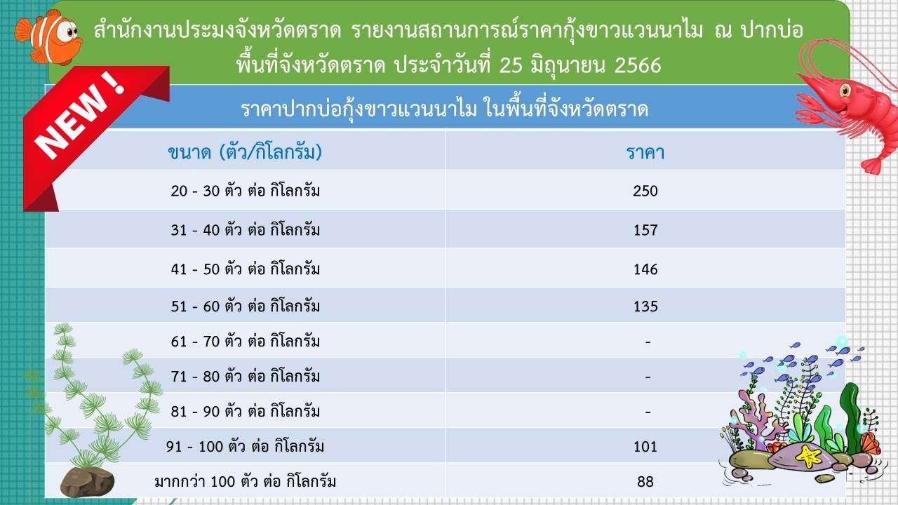 ราคากุ้งขาวแวนนาไม ณ ปากบ่อ 25 มิ.ย.66..อ่านต่อ