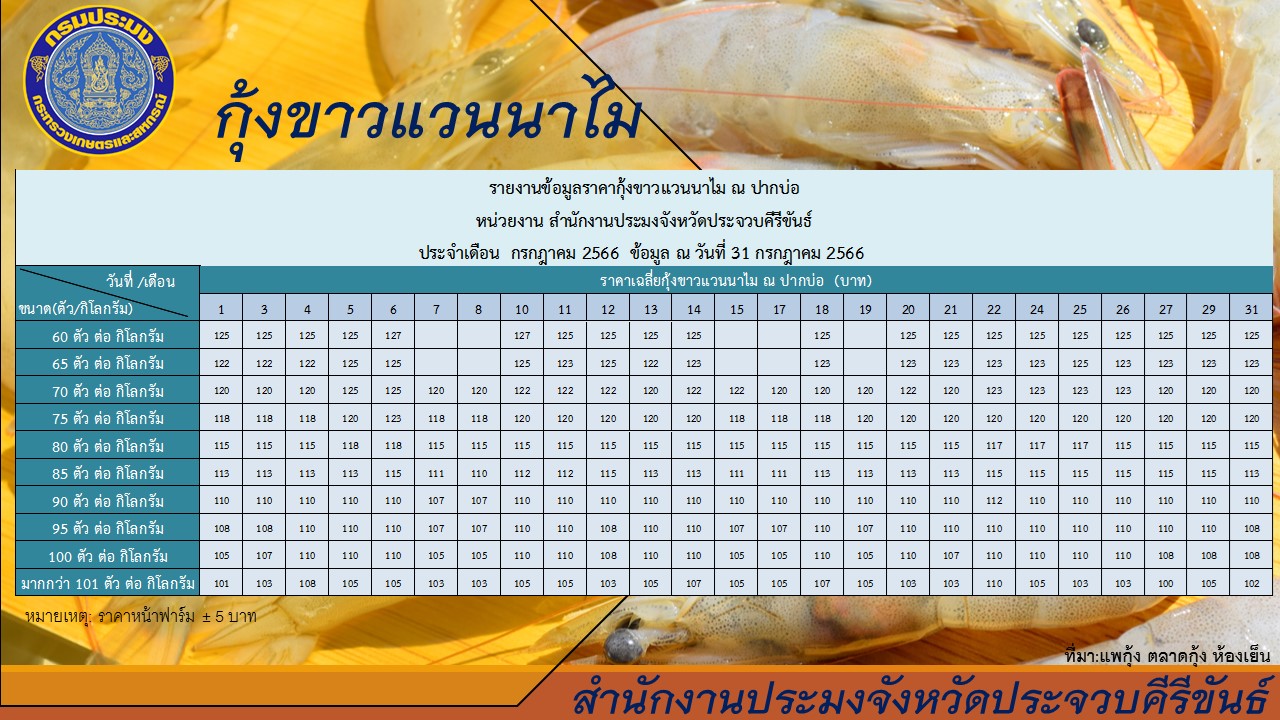 ราคากุ้งขาว ปากบ่อ สนง.ปจ.ปข. ณ วันที่ 31 กรกฎาคม 2566..อ่านต่อ