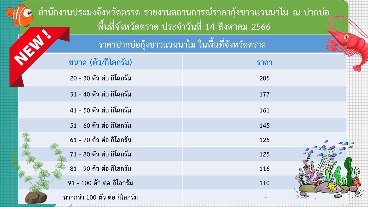 ราคากุ้งขาวแวนนาไม ณ ปากบ่อ 14 ส.ค. 66..อ่านต่อ