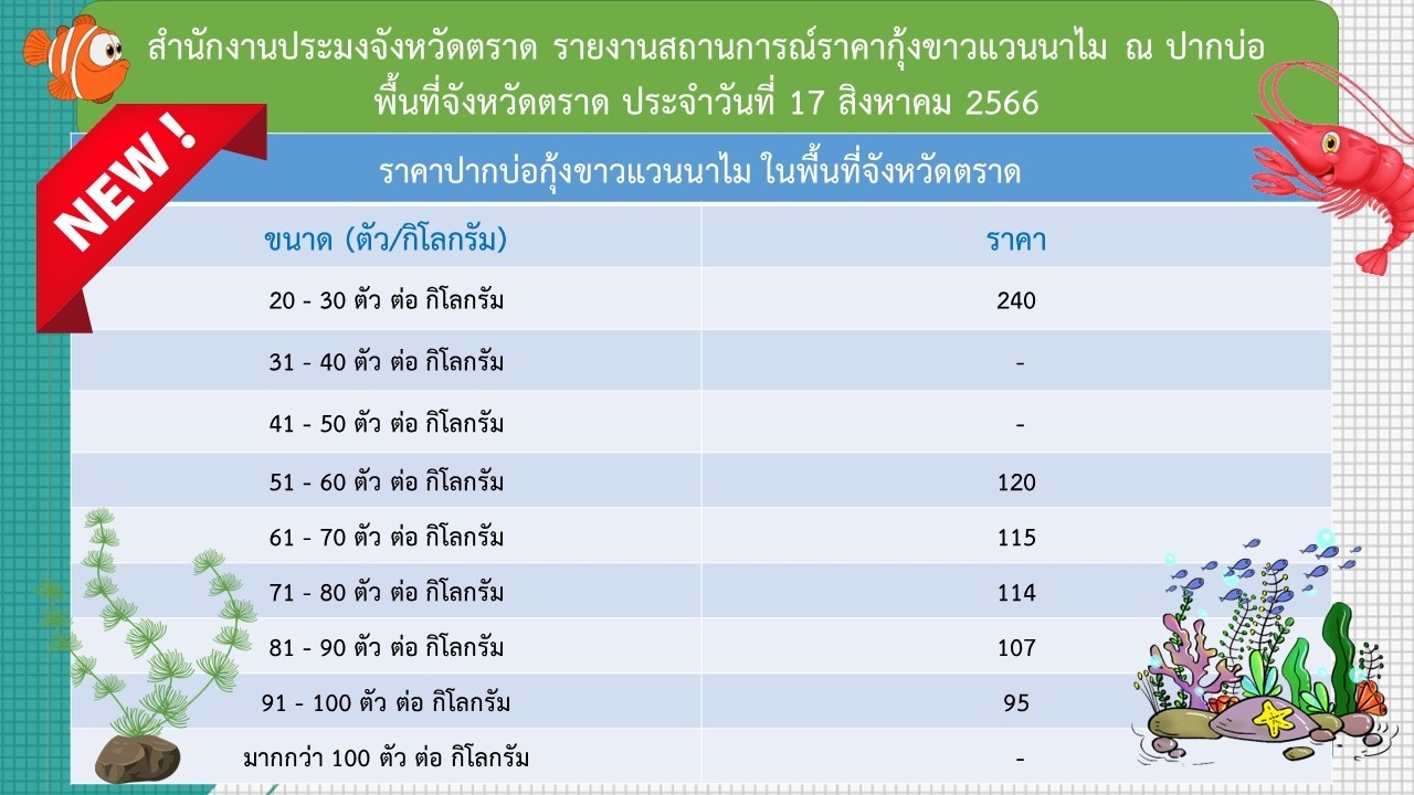 ราคากุ้งขาวแวนนาไม ณ ปากบ่อ 17 ส.ค. 66..อ่านต่อ