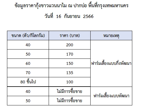 ราคากุ้งขาวแวนนาไม วันที่ 16 กันยายน 2566..อ่านต่อ
