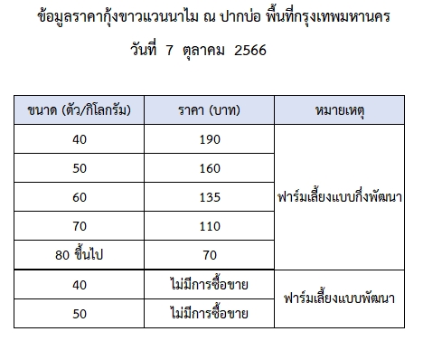 ราคากุ้งขาวแวนนาไม วันที่ 7 ตุลาคม 2566..อ่านต่อ