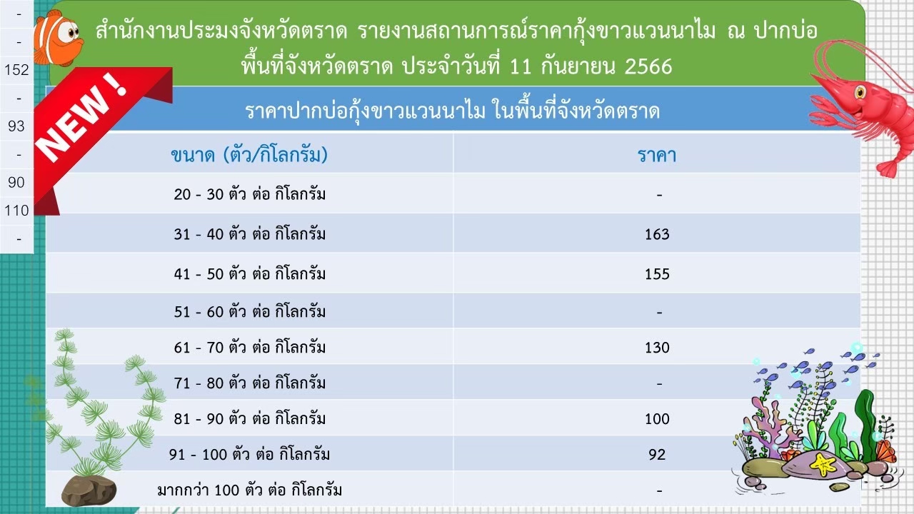 ราคากุ้งขาวแวนนาไม ณ ปากบ่อ 11 ก.ย. 66..อ่านต่อ