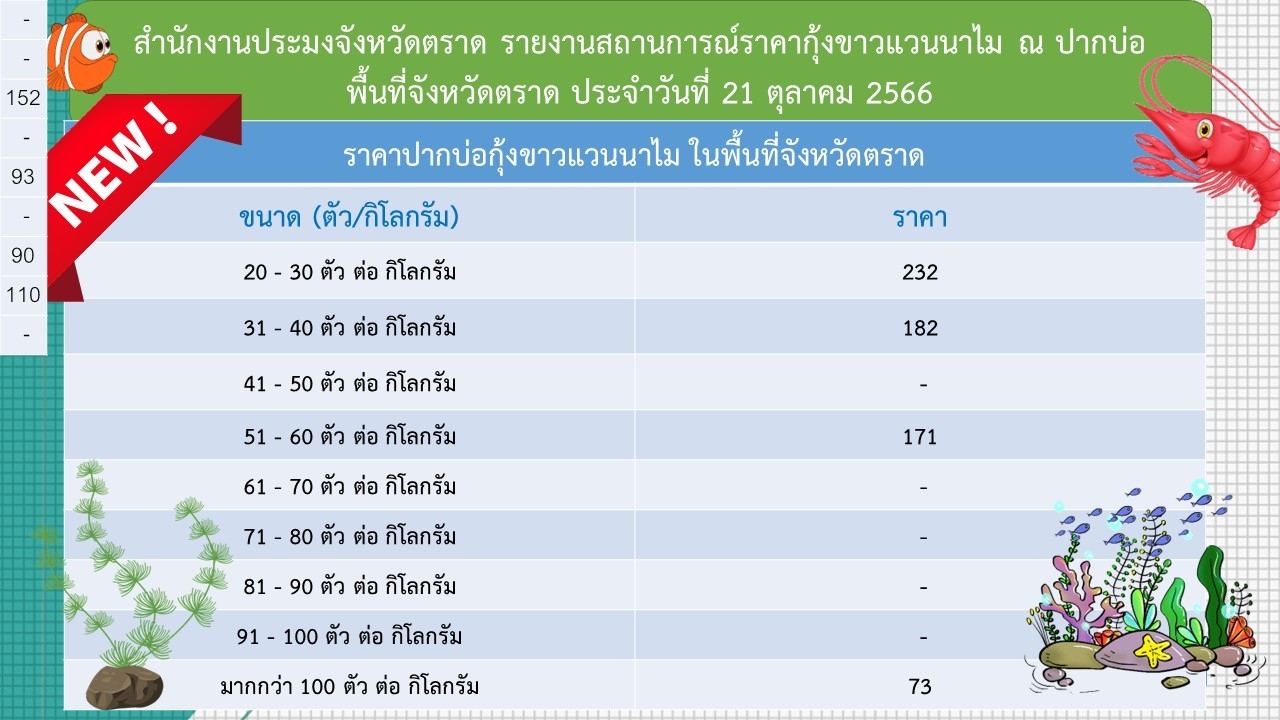 ราคากุ้งขาวแวนนาไม ณ ปากบ่อ 21 ต.ค.66..อ่านต่อ