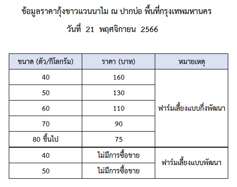 ราคากุ้งขาวแวนนาไม วันที่ 21 พฤศจิกายน 2566..อ่านต่อ