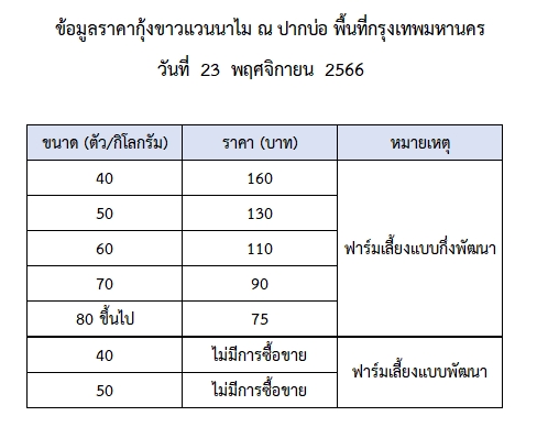 ราคากุ้งขาวแวนนาไม วันที่ 23 พฤศจิกายน 2566..อ่านต่อ