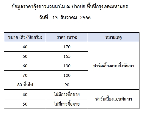 ราคากุ้งขาวแวนนาไม วันที่ 13 ธันวาคม 2566..อ่านต่อ