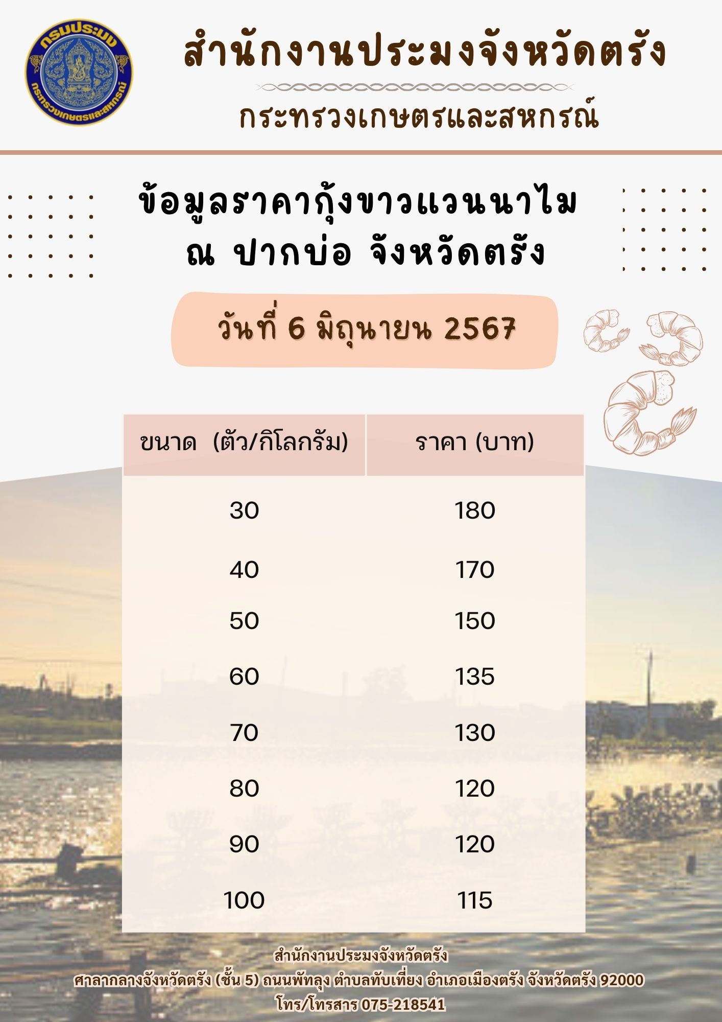 ข้อมูลราคากุ้งขาวแวนนาไม ณ ปากบ่อ..อ่านต่อ