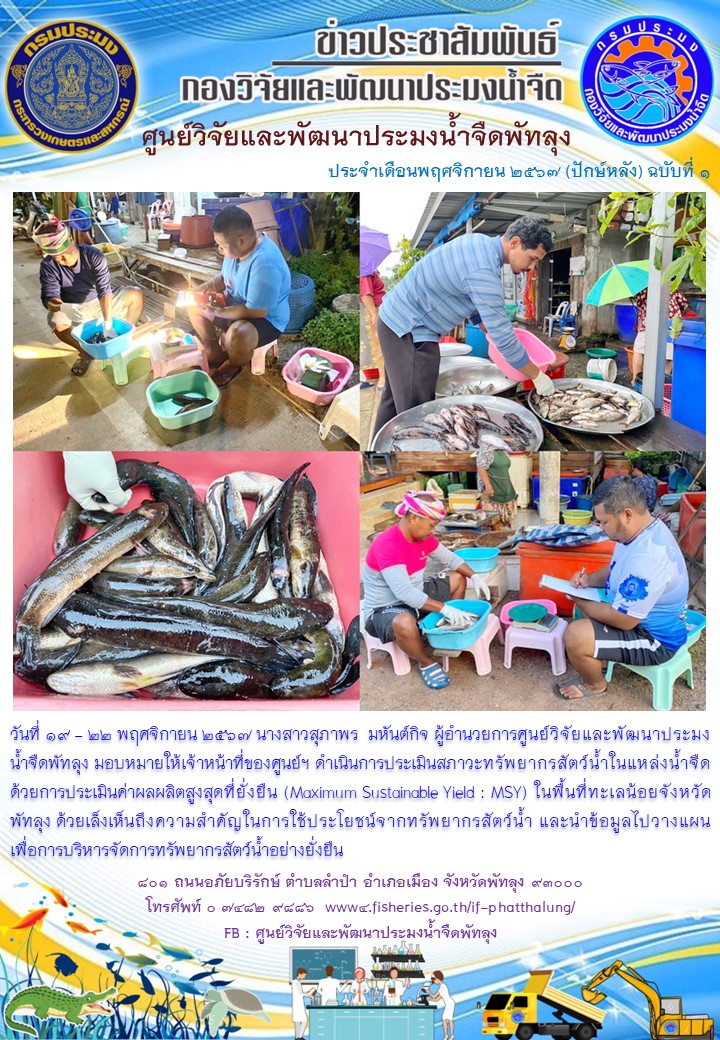 ดำเนินการประเมินสภาวะทรัพยากรสัตว์น้ำ ในพื้นที่ทะเลน้อยจังหวัดพัทลุง..อ่านต่อ