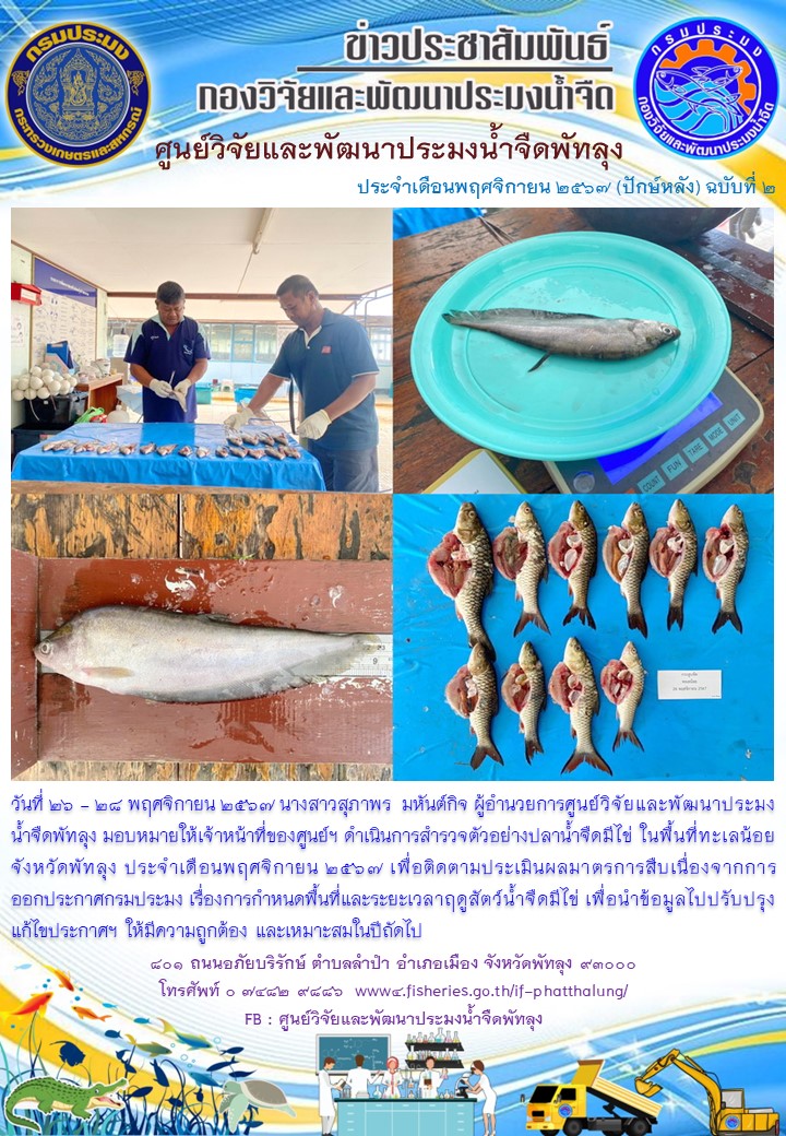 ดำเนินการสำรวจตัวอย่างปลาน้ำจืดมีไข่ ในพื้นที่ทะเลน้อยจังหวัดพัทลุง..อ่านต่อ