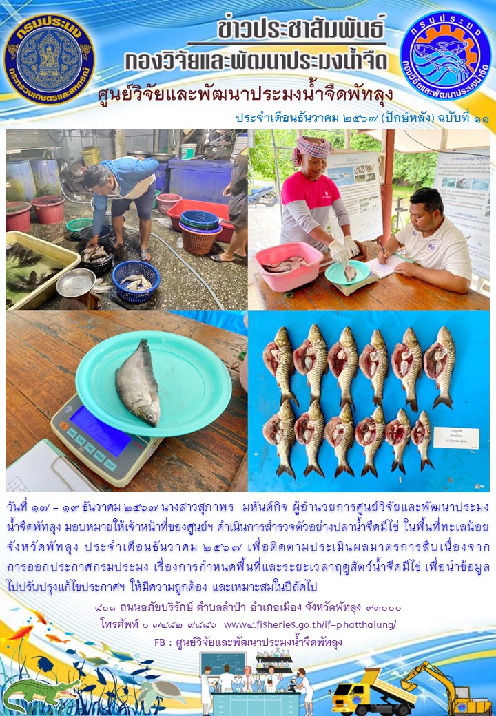 ดำเนินการสำรวจตัวอย่างปลาน้ำจืดมีไข่ ในพื้นที่ทะเลน้อยจังหวัดพัทลุง..อ่านต่อ