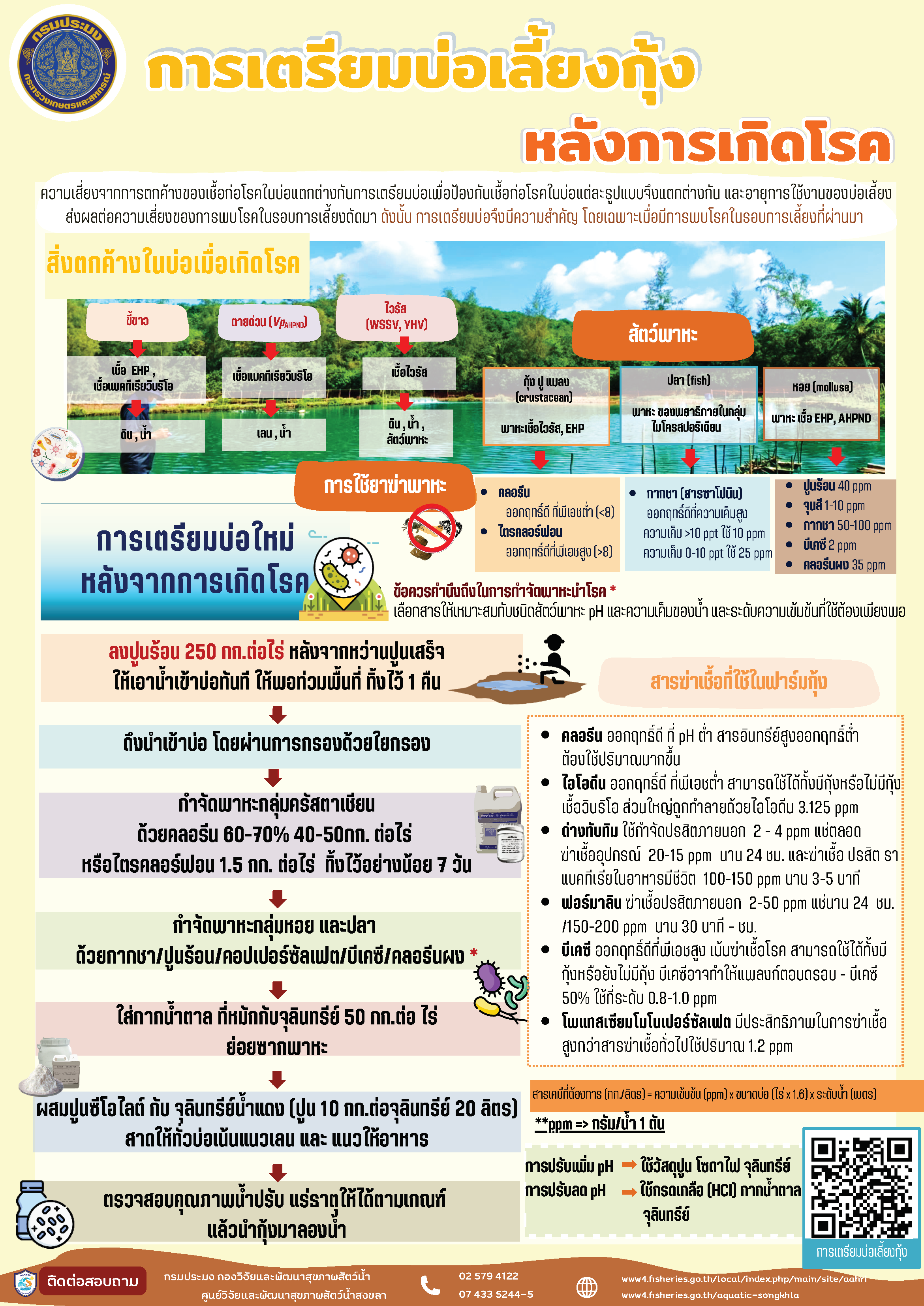 การเตรียมบ่อเลี้ยงกุ้งหลังการเกิดโรค