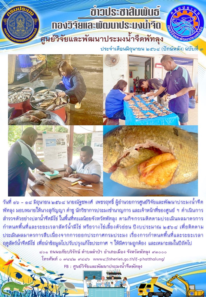 ดำเนินการสำรวจตัวอย่างปลาน้ำจืดมีไข่ ในพื้นที่ทะเลน้อยจังหวัดพัทลุง..อ่านต่อ
