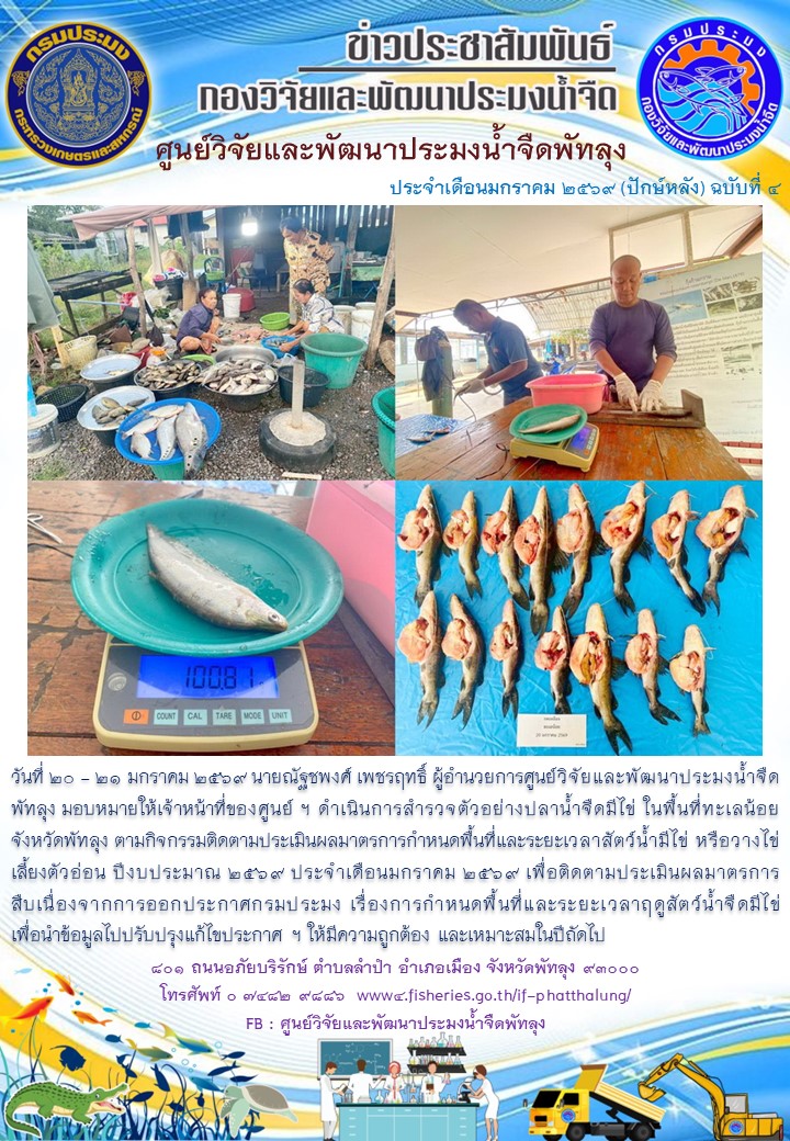 ดำเนินการสำรวจตัวอย่างปลาน้ำจืดมีไข่ ในพื้นที่ทะเลน้อยจังหวัดพัทลุง..อ่านต่อ