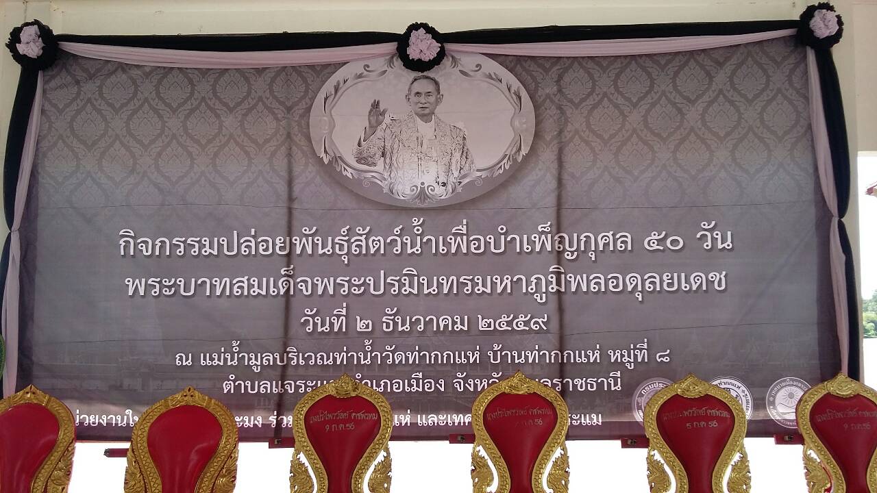 กิจกรรมปล่อยพันธุ์สัตว์น้ำเพื่อบำเพ็ญกุศล  50  วัน  พระบาทสมเด็จพระปรมินทรมหาภูมิพลอดุลยเดช มหิตลาธิเบศรามาธิบดี จักรีนฤบดินทร สยามมินทราธิราช บรมนาถบพิตร..คลิก