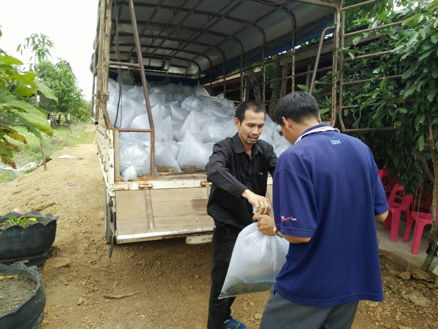 สนับสนุนพันธ์ปลาโครงการเกษตรทฤษฎีใหม่ อ.โพนสวรรค์..คลิก