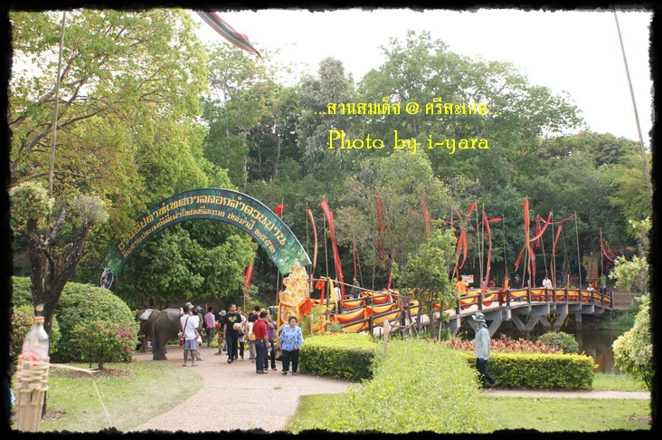 รูป ประกอบบทความ12