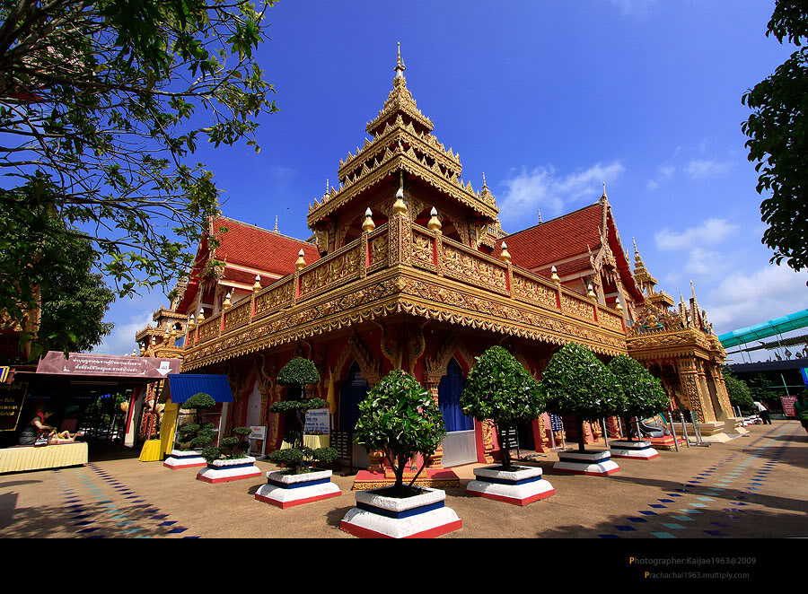 รูป ประกอบบทความ15