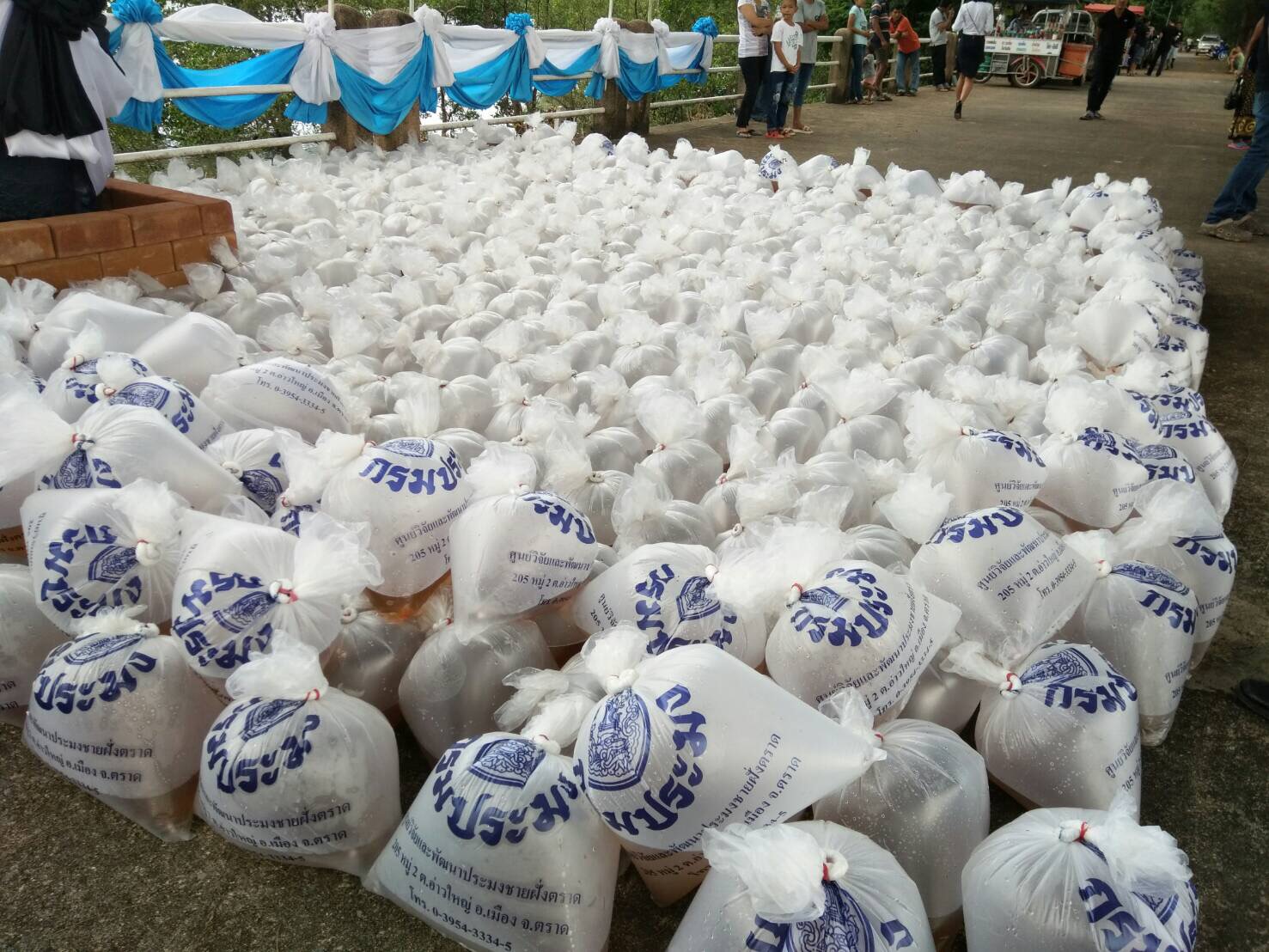 เข้าร่วมพิธีปล่อยพันธ์ุสัตว์น้ำ วันวีรกรรมทหารเรือไทยในยุทธนาวีที่เกาะช้าง ประจำปี 2560..คลิก