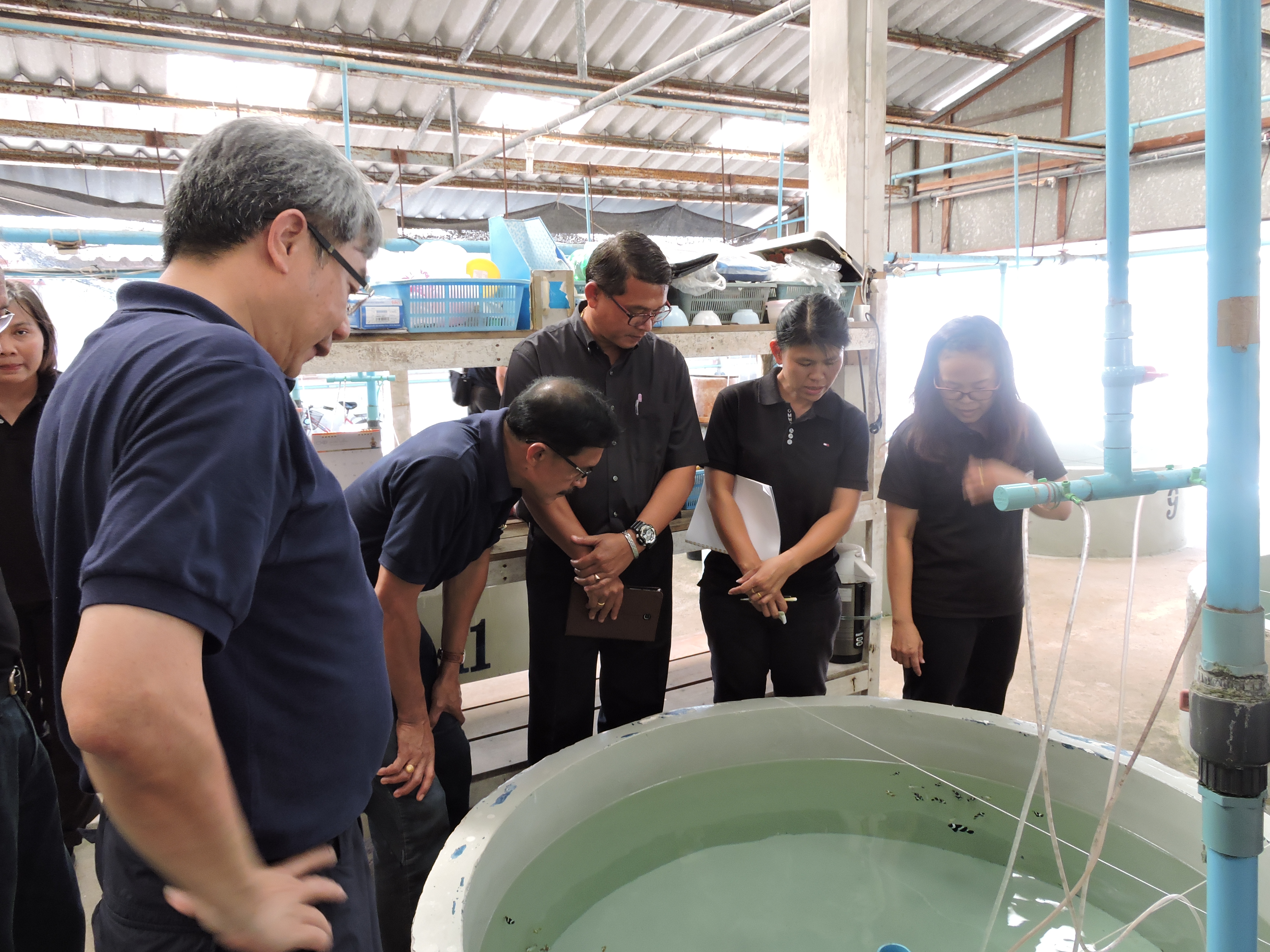 ดร.อดิศร  พร้อมเทพ อธิบดีกรมประมง ตรวจเยี่ยมศูนย์วิจัยและพัฒนาการเพาะเลี้ยงสัตว์น้ำชายฝั่งระยอง..คลิก