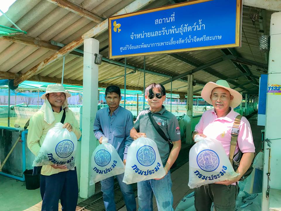 วันที่ 17 - 19 มกราคม 2560..คลิก