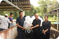 มอบปัจจัยการผลิตโครงการเกษตรทฤษฎีใหม่ ฯ..คลิก